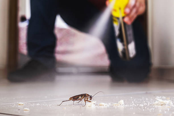 Pest Control for Restaurants in Broadway, VA